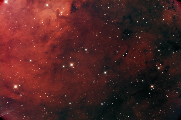 CGN 214 Cedarblad Nebula in Cygnus 33x480 L-Extr Oct 17 2025 RAP_NJ