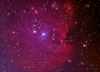 NGC 2174 Monkey Head Nebula in Orion 2020-12-19 from NJ